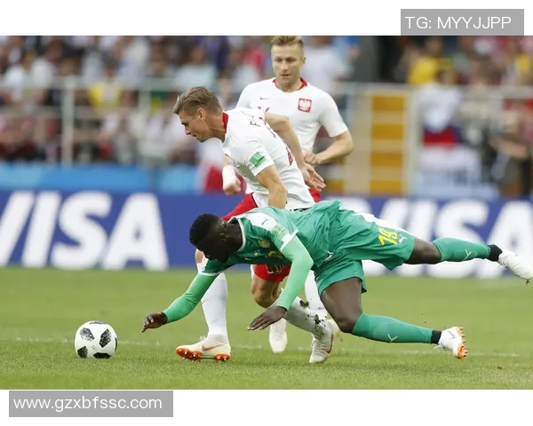 体彩波兰对阵塞内加尔半全场分析及投注建议解析