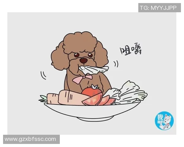 王伟独家分享排球心得与技巧助你提升球技的全面指南