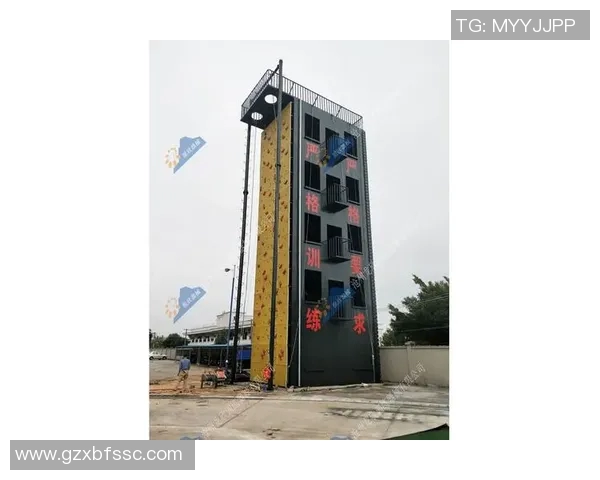 武汉攀岩队整体压制体系的战术解析与实战应用探讨