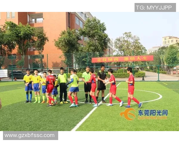 万江足球明星的崛起与成就揭秘及其对当地足球发展的影响分析